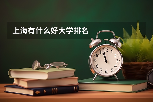 上海有什么好大学排名
