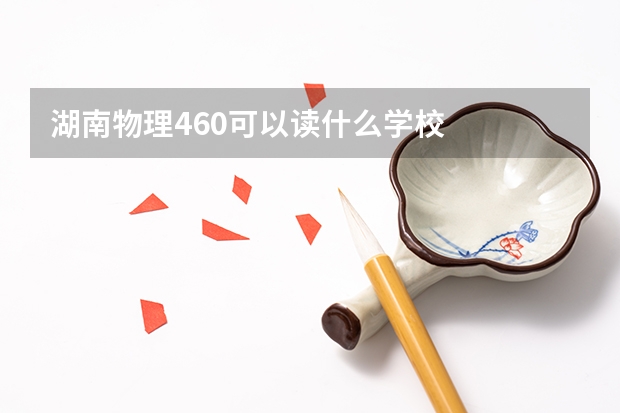 湖南物理460可以读什么学校