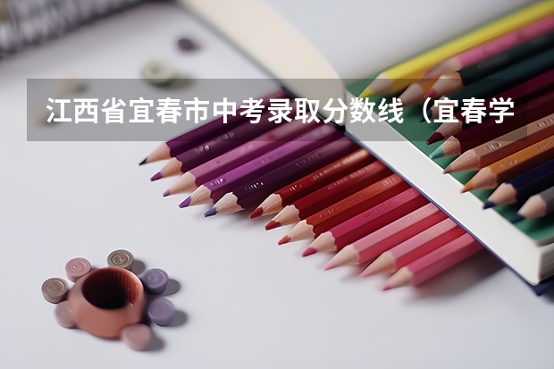 江西省宜春市中考录取分数线（宜春学院录取分数线）